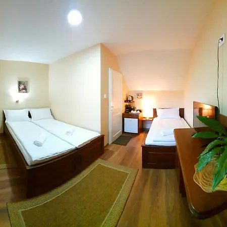 Bed & Breakfast Virag Panzio *